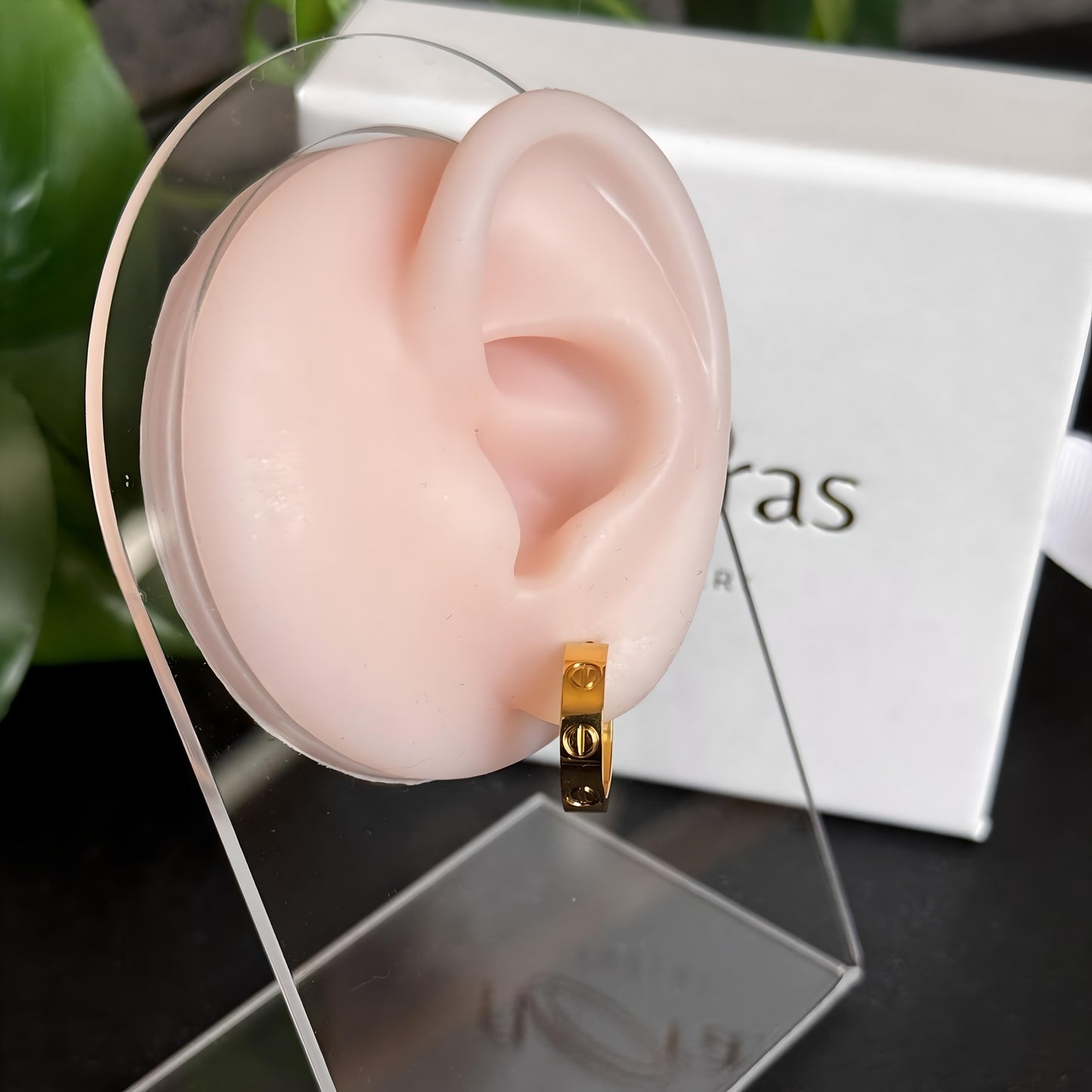 PENDIENTES CARINA