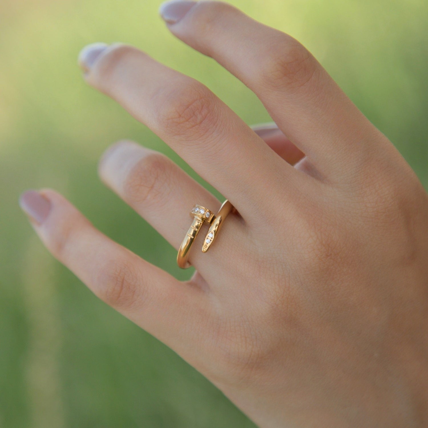 ANILLOS